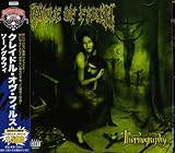 �\�[�m�O���t�B(���[�h���C�W2009)