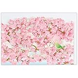 ホールマーク グリーティングカード 春カード 立体カーブ レーザーカット 桜とうぐいす 812812