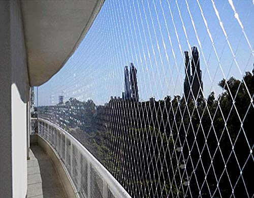 被害に遭ってからだと追い出すのは困難 鳥よけは事前対策がキモ 生活110番ニュース