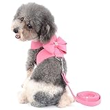 Ranphy レザー 革 犬用ハーネス 胴輪 小型犬 子犬 猫用 リード セット 蝶結び 可愛い 散歩用 出かけ用 調節可能 通気性が抜群 2色 (ピンク,M)