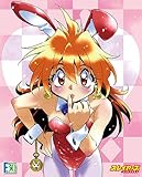 アクシアキャンバスアートシリーズ No.046 F30th スレイヤーズ リナ 原作版 バニーVer.