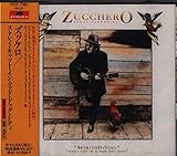 ストレイ・キャッツ・イン・マイ・ドッグ・シティ