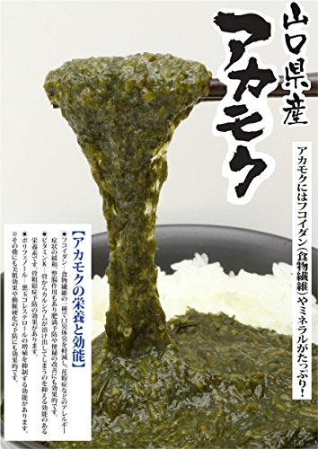 山口県産アカモク 40g×30食入(特製ぽん酢付き)