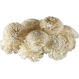 Sola Flower Mums by Nettleton Hollow