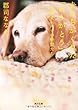 犬たちがくれた「ありがとう」―盲導犬ベルナの仲間たち (角川文庫)