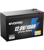 Amazon.co.jp: Evopow LiFePO4リン酸鉄リチウムイオンバッテリー