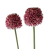 【Blooming＆me】フラワーデザイナー推薦 可愛い まあるい ポンポンマム 花 ポンポン インテリア ギフト 5本セット 選べる5色 (パープル) [並行輸入品]