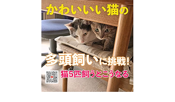かわいい猫の多頭飼いにチャレンジ: 猫を5匹飼うとこうなる  ふじ子 