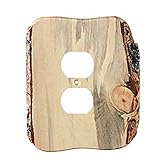 Sierra Lifestyles Rustic Switch Plate, 1 Duplex Finished, Blued Pine by Sierra Lifestyles