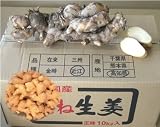 高知県産 近江生姜 10kg