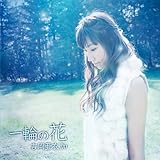 �����S 3D ���̓�