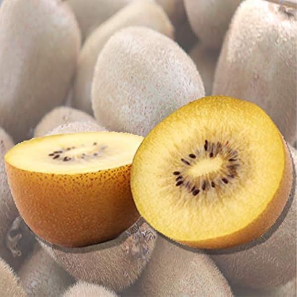 Amazon.co.jp: ゼスプリ サンゴールド キウイ フルーツ