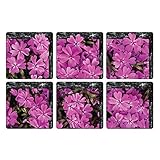 TOOGOO ( R ) Peel and Stick非スリップPVC BathtubステッカーBathtubアップリケ浴槽デカール、花