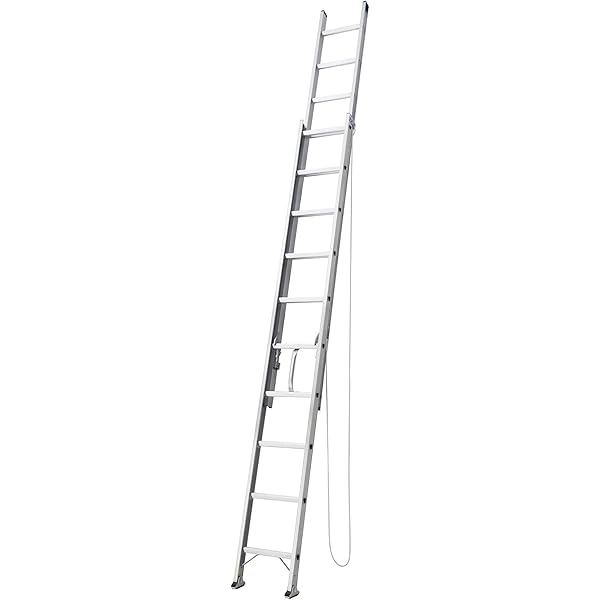 Amazon.co.jp: アルインコ 2連はしご(伸縮ハシゴ） 5.93m （JXV-60D