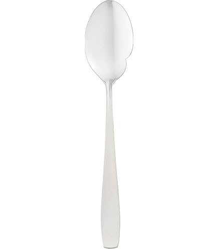 Amazon.co.jp: 遠藤商事 業務用 ピガール フィッシュソーススプーン 18