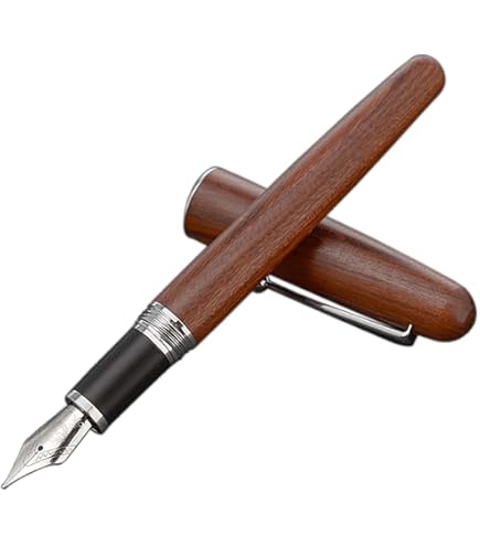 Amazon | プラチナ万年筆 万年筆 SF 細軟字 ブラックインブラック