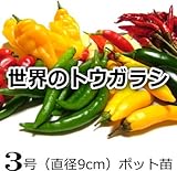 世界のペッパー（トウガラシ）3種セット（各1株 9cmポット苗）