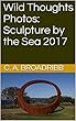Wild Thoughts Photos: Sculpture by the Sea 2017 (English Edition)