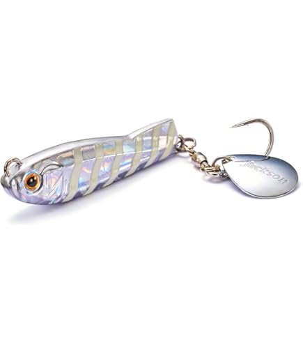 Amazon | Jackson(ジャクソン) ジェスター JSS-610M-SP