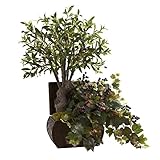 Nearly Natural 6771 Olive Tree and Grape Leaf Arrangement with Chest Planter, Green [並行輸入品]