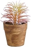 アビテ 造花 観葉植物 グリーンポット・L-ティランジア IL-119-AA