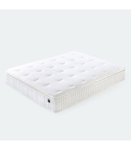 Amazon.co.jp: ニトリ(NITORI) Nスリープ C2-04 EM クイーンサイズ