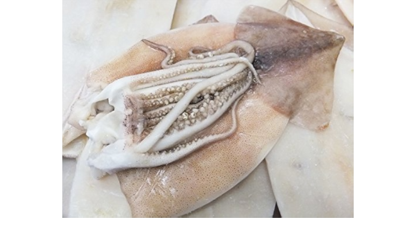 Amazon 開きいか ｉｑｆ 50枚 7kg いか イカ 松いか 松イカ 焼き 煮物 姿 いか姿 まついか マツイカ 開き 水産フーズ 水産フーズ イカ 通販