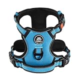 IVY&LANE 犬用ハーネス 喉に優しい 小型犬、中型犬、大型犬用 調節可能 夜間反射材 通気性 引っ張り防止 簡単着脱 散歩 犬 ハーネス 柴犬 秋田犬 訓練 ドッグ 胴輪 (ブルー, XS)