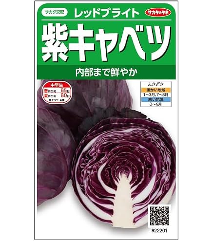 Amazon.co.jp: 大和農園 紫キャベツ 紫丸 : DIY・工具・ガーデン