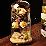 Lovoski トレイ 植物 花 装飾 ガラス カバー 風景 花瓶 コンテナ　ドーム