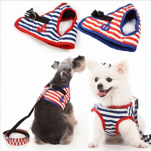 【Lucky】 マリンボーダー ソフトハーネス＆リードセット ( ブルー 青 XL )