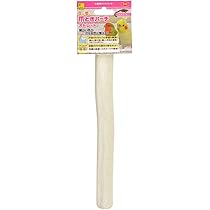 Amazon.co.jp: ジェックス コトリウム460-II 46.5×44.5×58.2cm