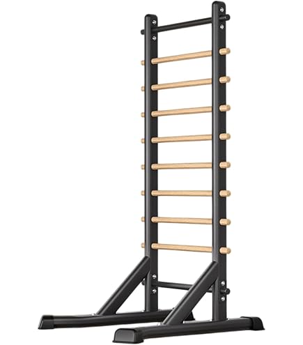 Amazon.co.jp: パワータワー 懸垂バー ディップスステーション 耐荷重
