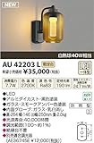 コイズミ照明　アウトドアライト【AU42203L】