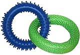 Pet Buddies PB1152 Rubber Ringer Dog Toy Blue/Green [並行輸入品]