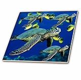 Ocean Life – Sea Turtles – タイル 8-Inch ct_26849_3