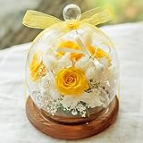 プリザーブドフラワー ガラスドーム ギフト Lサイズ （ミモザイエロー） ガラスの森～ローズシュシュ～