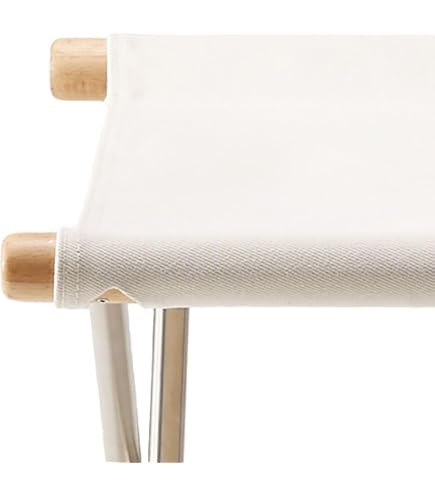 Amazon.co.jp: 藤栄 ニーチェアエックス 交換用シート NY-115 ホワイト