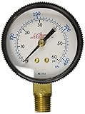 Milton 1193 1/4 NPT Pressure Gauge [並行輸入品]