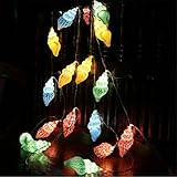 Infabe クリスマス ハロウィン LEDライト 結婚式 お誕生日バー 飾りスター 電池 イルミネーション led オーナメント 法螺貝形の装飾LEDライト 電池式 電球 ストリングスライト