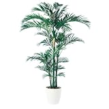 エフプランター 人工観葉植物-アレカヤシ株立-200-9号鉢-RP300