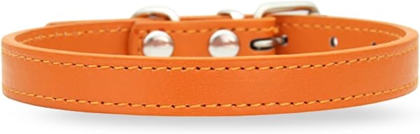 LaLUCA GOODS Dog Collar Cat Collar Bell Standard Standard PU Leather Simple Small Dog Medium Dog Dog Walk Colorful Orange (No Bell) S - 1