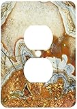 3dRose lsp_202385_6 Rock Agate 2 Plug Outlet Cover [並行輸入品]