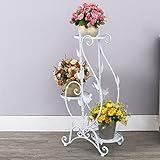 Plant shelf アイロンフラワーラック、リビングルームフラワーポットラックバルコニー盆栽フレームプラントディスプレイスタンド Flower racks ( 色 : B )