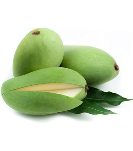 【緑/青10-1】約9.5kg グリーンマンゴー 青マンゴー　摘果マンゴー 沖縄県産！摘果マンゴー グリーンマンゴー 13KG 摘果マンゴー 青