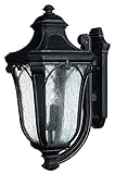 Hinkley Lighting 1319MB Trafalgar Outdoor Light, Museum Black by Hinkley