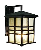 Trans Globe Lighting Craftsman Outdoor Wall Light, 16', Black [並行輸入品]