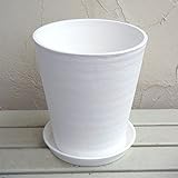 セラアート長鉢8号（白）M 鉢と受け皿のセット ノーブランド品