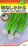 カネコ種苗 野菜タネハイクオリティ299 時なし子かぶ ゆたか2号 10袋セット