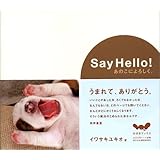 Say Hello! あのこによろしく。 (ほぼ日ブックス)